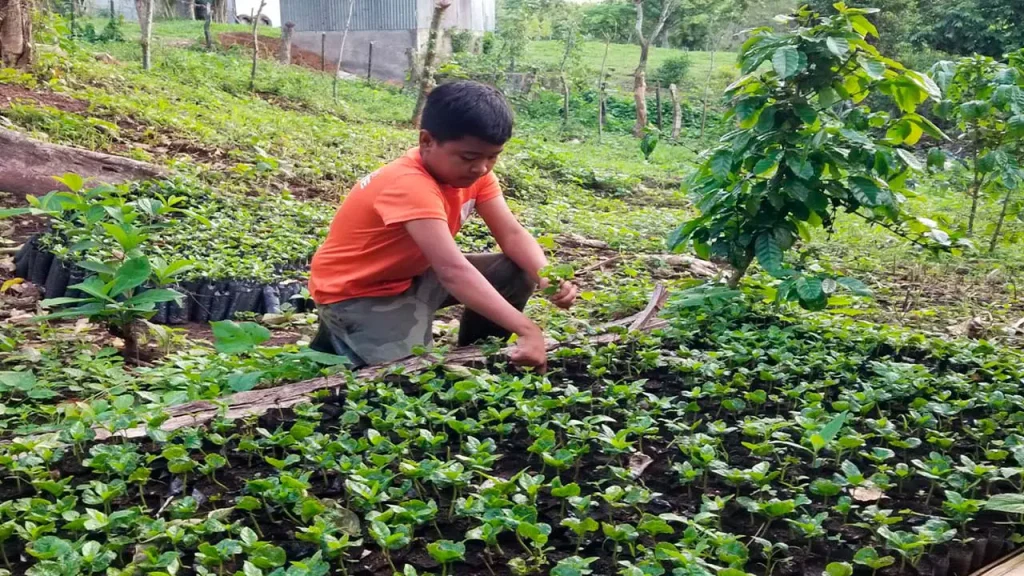 Un Modelo Inspirador de Conservación Ambiental