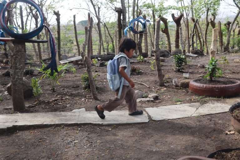 ¿Cómo donar y ayudar hoy?