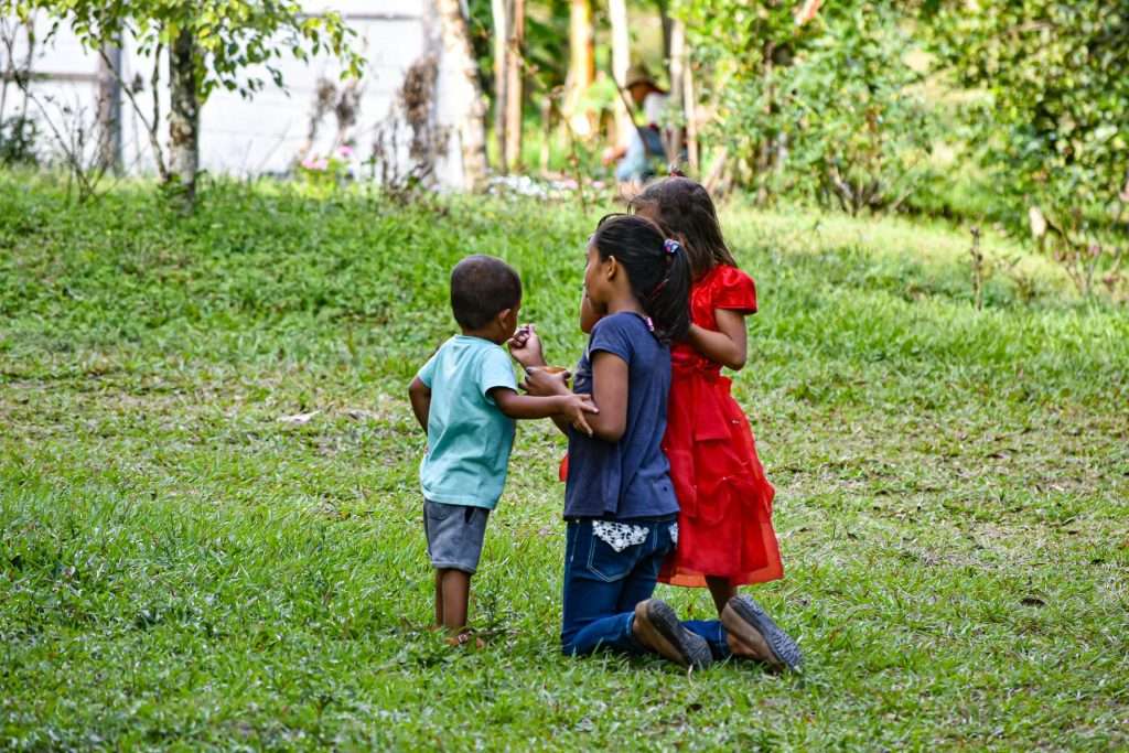 ONG Y ODS EN EL 2025