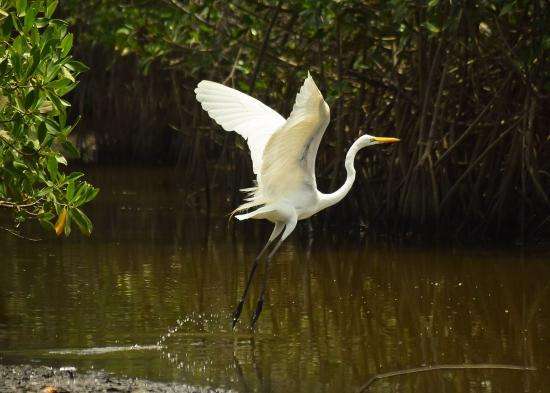 ¿Qué hay en Nicaragua?