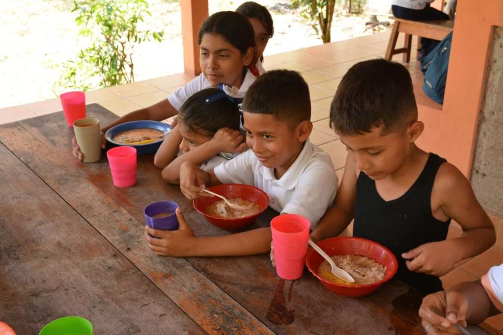 Transparencia y Confianza en ONGs 2025