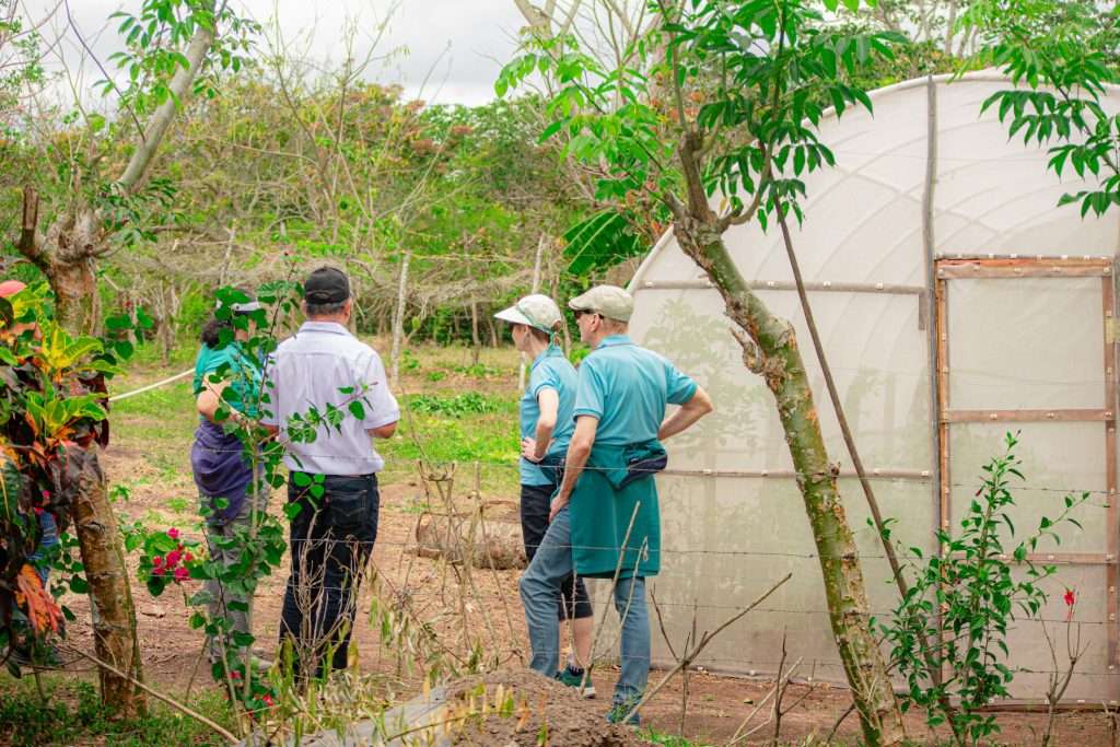 Transparencia y Confianza en ONGs 2025