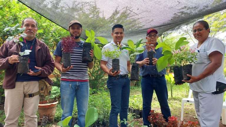 Proyectos ecológicos en Nicaragua.