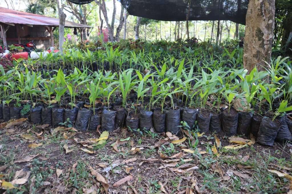 Proyectos ecológicos en Nicaragua.