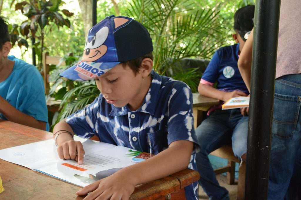 ¿Dónde donar en el 2025?