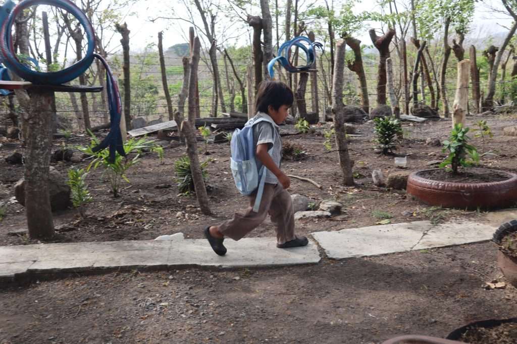 Transformación Comunitaria e Inversión Holística