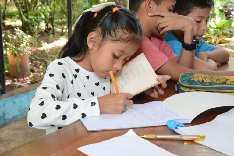 Alianzas Estratégicas por Nicaragua 2025