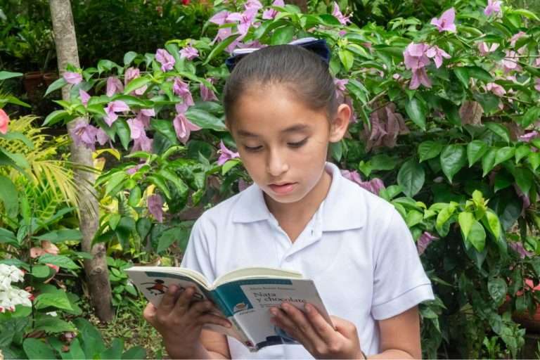 Gobernanza Aliada de la Inversión