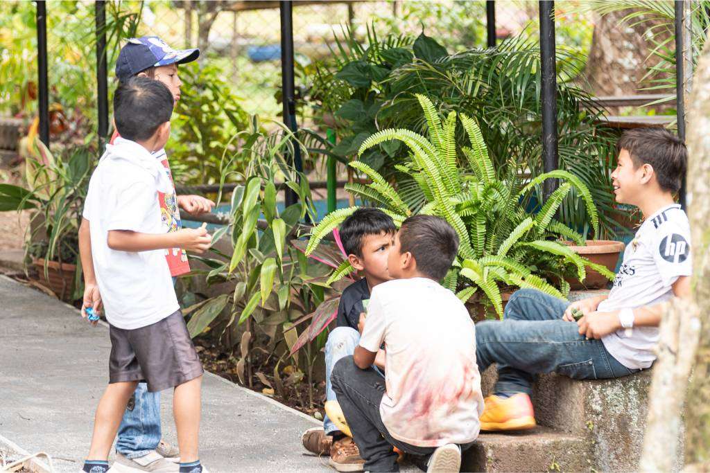 Socio Estratégico Global 2026