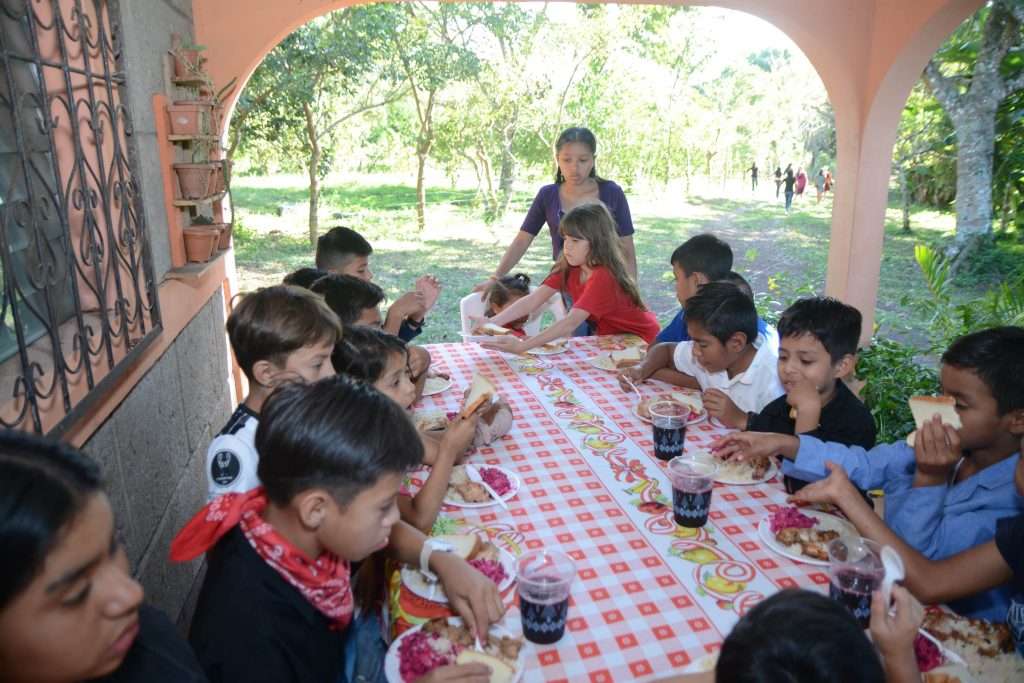 Socio Estratégico Global 2026