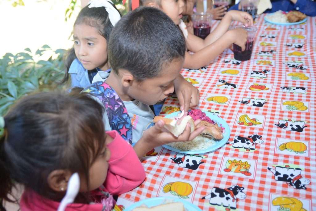 Impacto Nutrición Infantil 2026